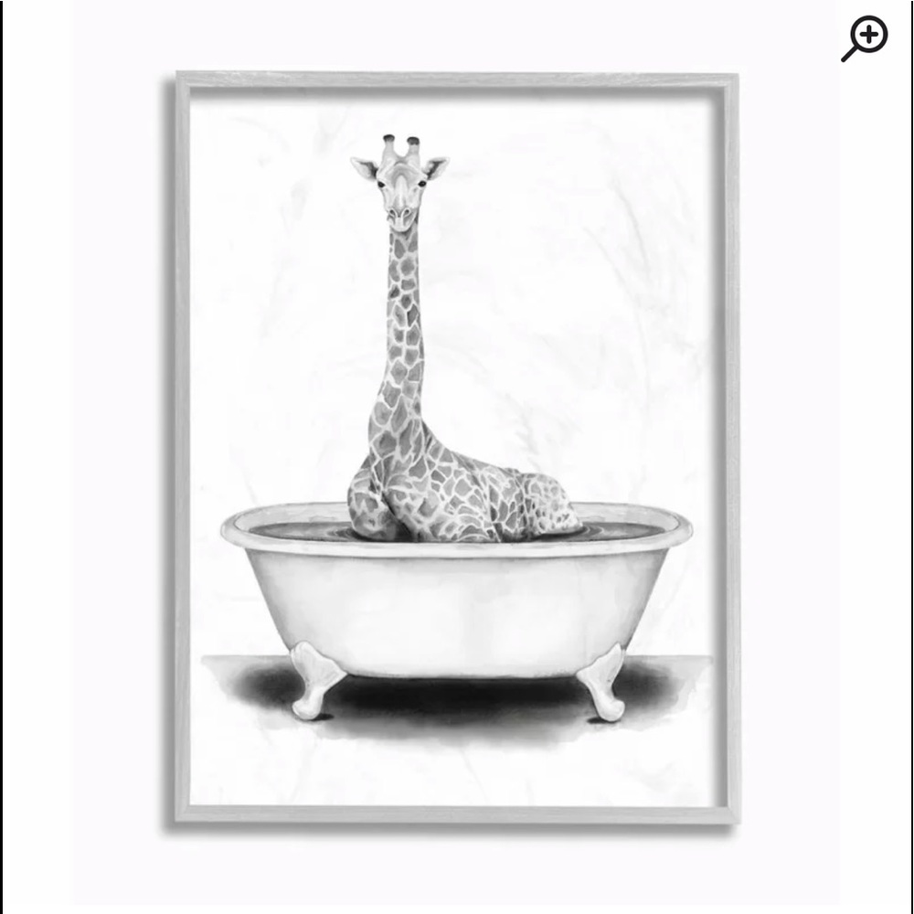 Giraffe in tub canvas picture